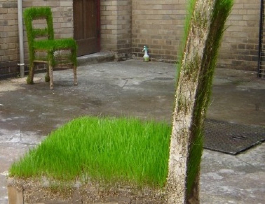 L'eco-design colpisce ancora con Green Art: l'erba che cresce sui mobili