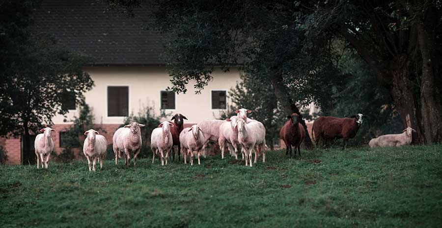 arredamento-tipo-per-un-agriturismo